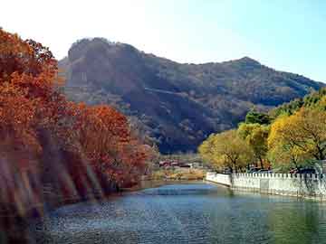 新澳天天开奖资料大全旅游团，奶牛大叔送牛奶